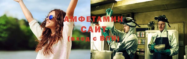 молекула духа Алзамай