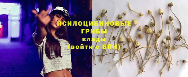 кокаин колумбия Алексин