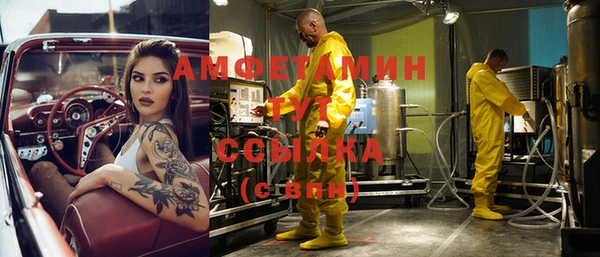 гашик Алексеевка