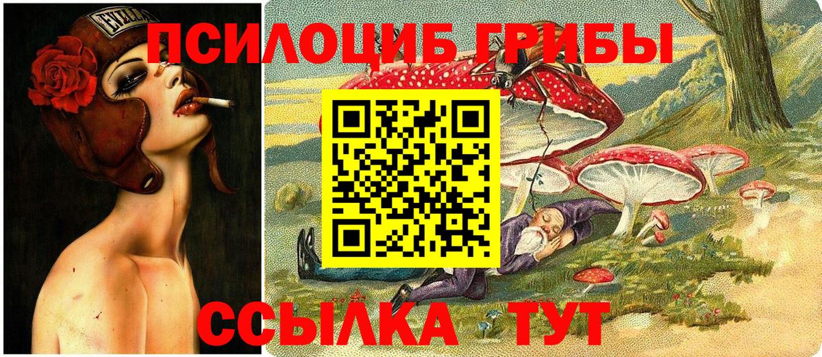 Галлюциногенные грибы GOLDEN TEACHER  Псилоцибиновые грибы прущие грибы  Вход с VPN  Лянтор 