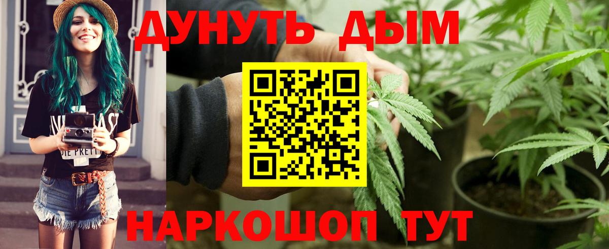 Конопля гибрид  Бошки Шишки план  Конопля MAZAR  Лянтор  Вход с VPN 